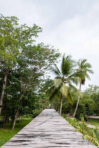 C733_EcoParqueBacalar