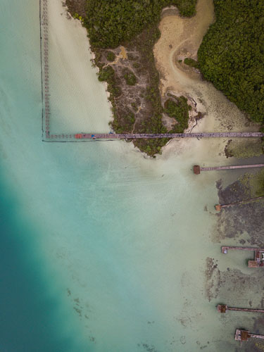 C733_EcoParqueBacalar