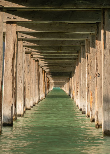 C733_EcoparqueBacalar2