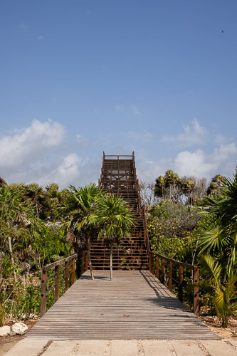 C733_MiradorMangleTulum