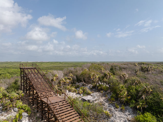 C733_MiradorMangleTulum