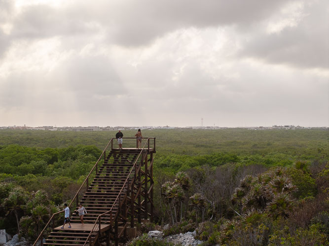 C733_MiradorMangleTulum