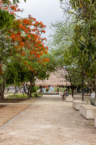 C733_PlazaBacalar