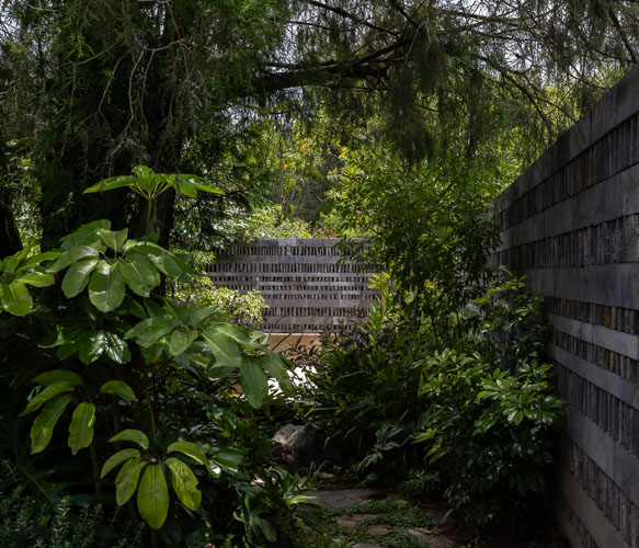 Dealer_Malinalco