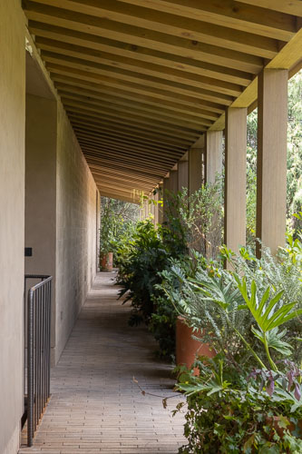 Dealer_Malinalco