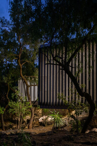 TallerArquitectura_Anahuacalli