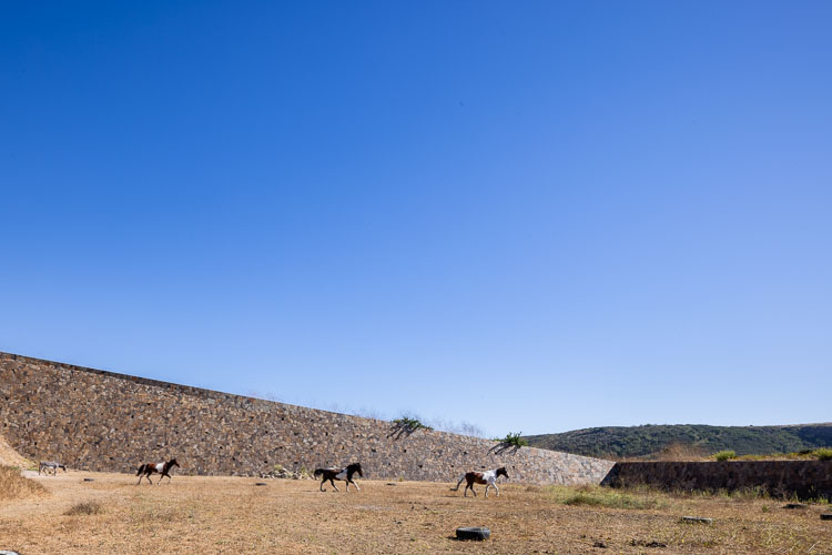 TallerArquitectura_Ecuestre