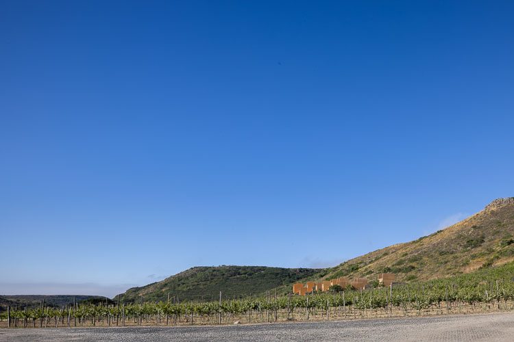 TallerArquitectura_Habitat