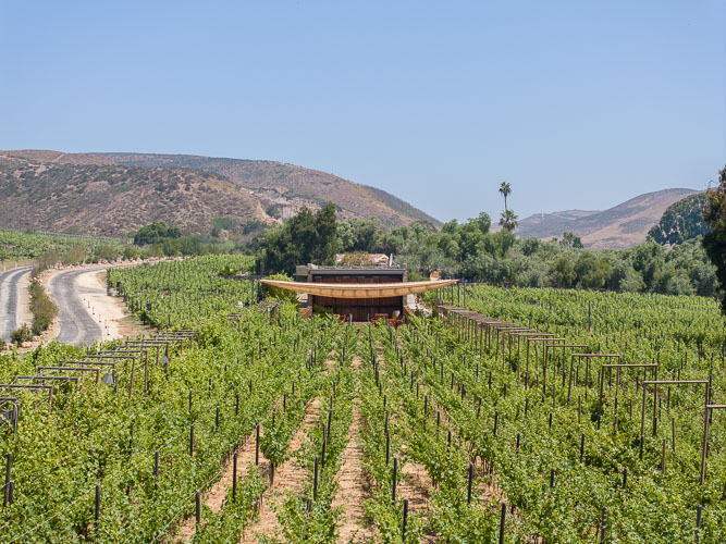 TallerArquitectura_Vinicola