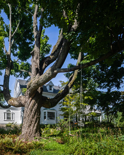Tmagazine_NathalieFarmanFamra_House