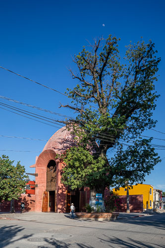 Tmagazine_SantaCruzChapel